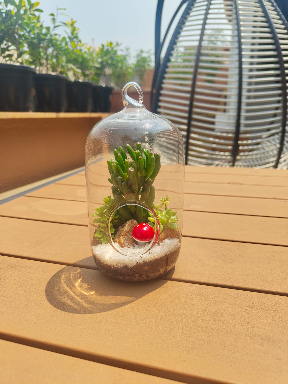 Special Lightbulb Style