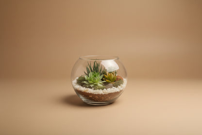 6 Inch Fishbowl