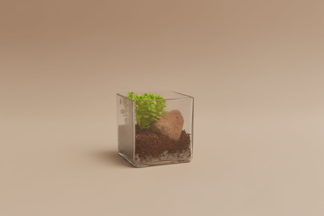 4 Inch Square