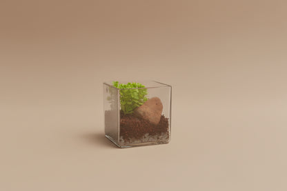 4 Inch Square