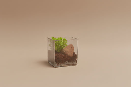 4 Inch Square