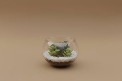 4 Inch Fishbowl