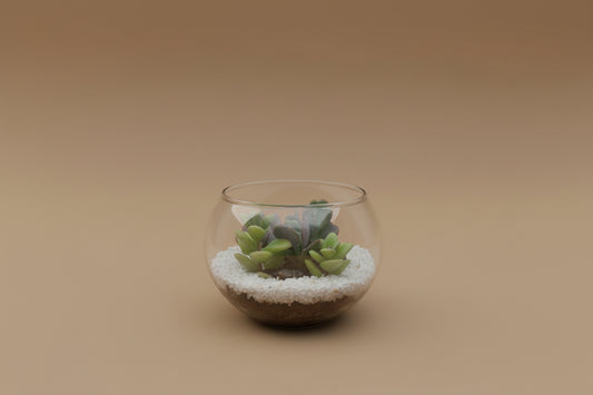 4 Inch Fishbowl