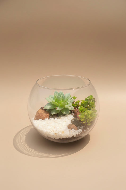 4 Inch Fish Bowl