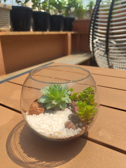 4 Inch Fish Bowl