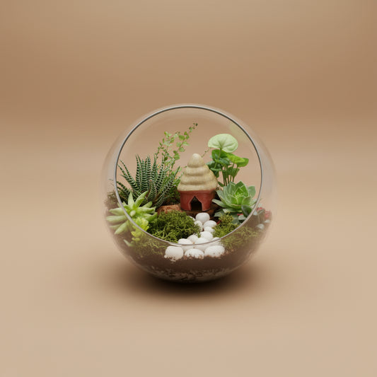 6 Inch Front Facing