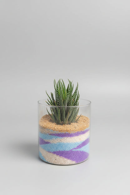 Sand Art Terrarium