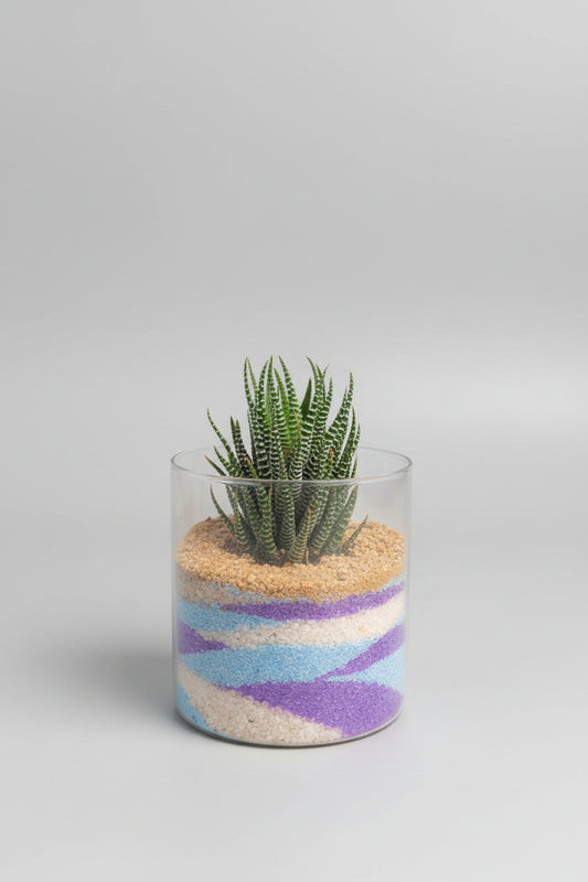 Sand Art Terrarium