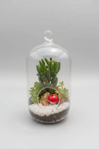 Special Lightbulb Style