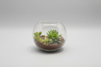 4 Inch Fish Bowl
