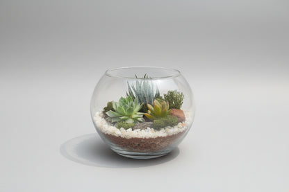 6 Inch Fishbowl
