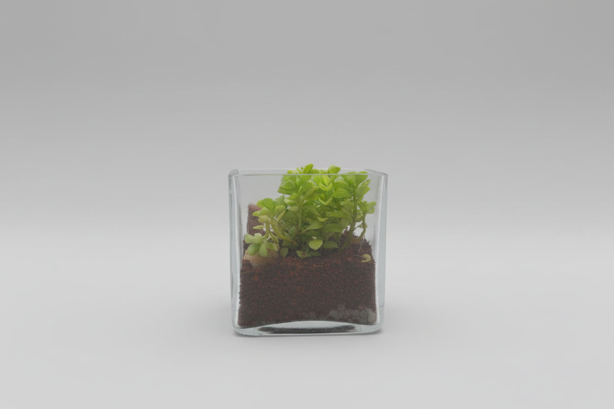 4 Inch Square