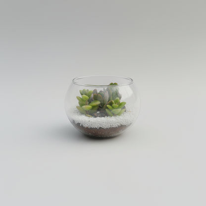 4 Inch Fishbowl