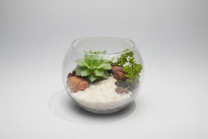 4 Inch Fish Bowl
