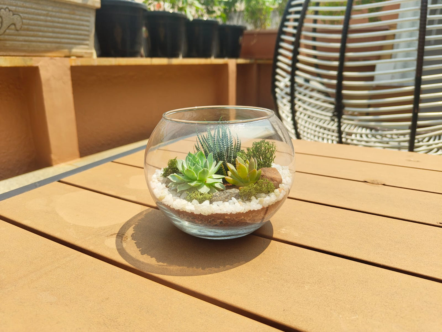 6 Inch Fishbowl