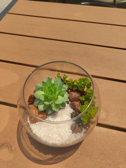 4 Inch Fish Bowl