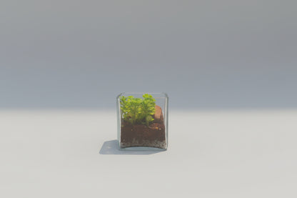 4 Inch Square