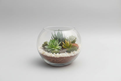 6 Inch Fishbowl