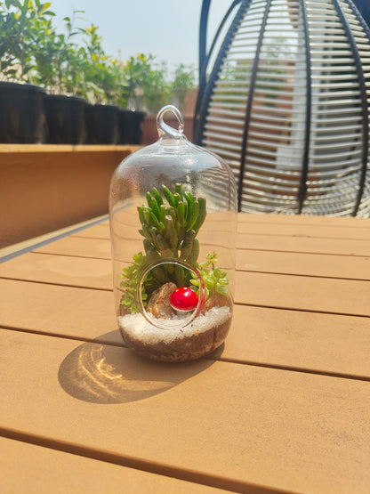 Special Lightbulb Style
