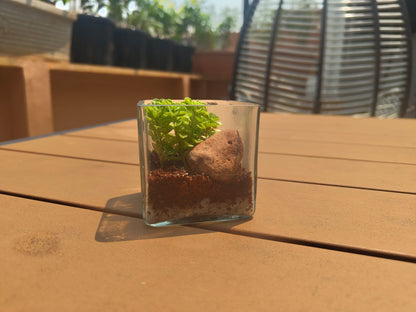 4 Inch Square