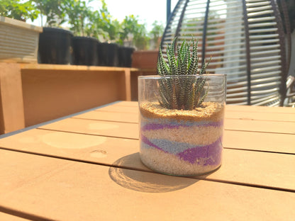 Sand Art Terrarium