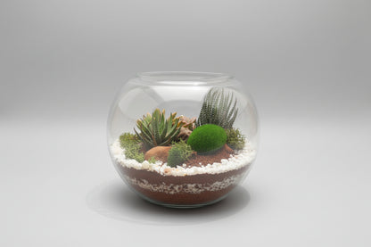 6 Inch Fishbowl