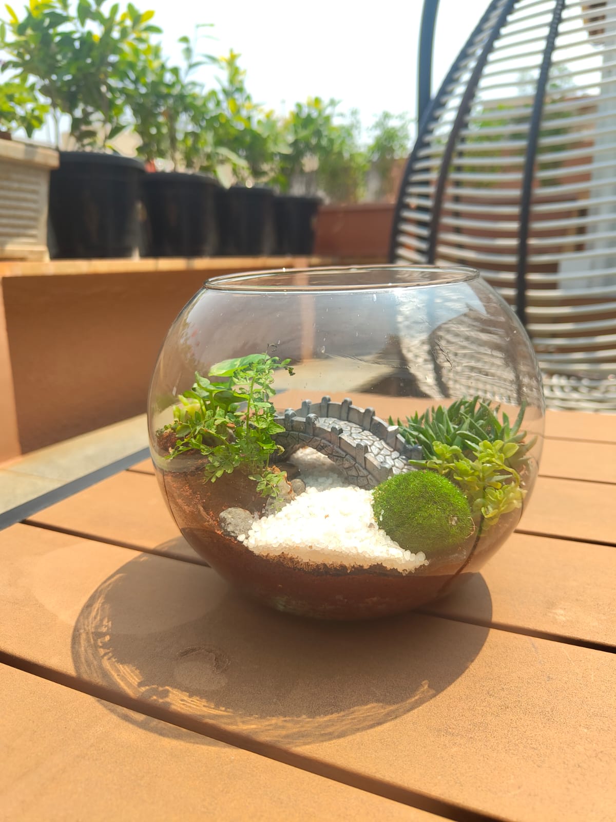 6 Inch with Bridge and Water