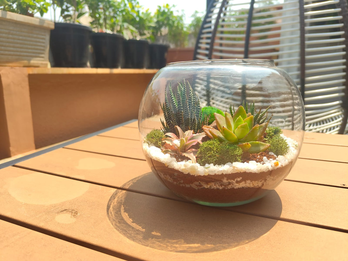 6 Inch Fishbowl