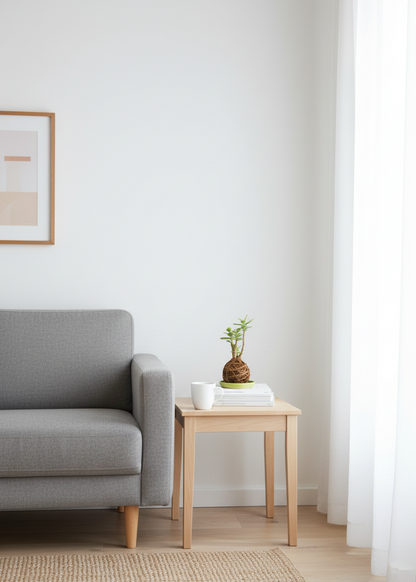 Kokedama - Jade Octave