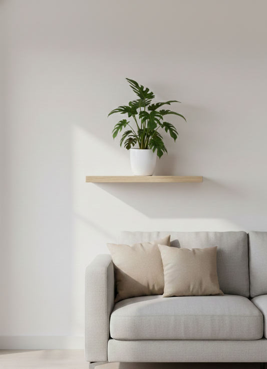 Philodendron Xanadu - Thaumatophyllum Xanadu