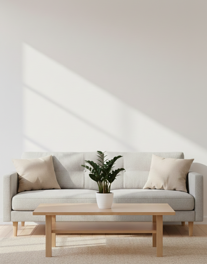 ZZ plant - Zamioculcas zamiifolia 'Raven