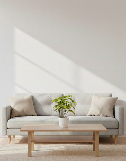 Scheffrela - dwarf umbrella ... Heptapleurum arboricola